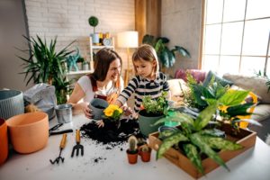 apartments of wildewood indoor plants nurture for fall